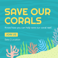 Care for the Corals Linkedin Post