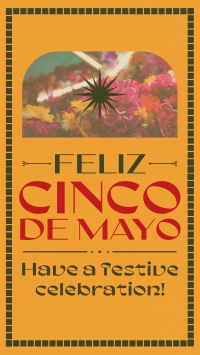 Cinco De Mayo Typography Instagram Reel Image Preview