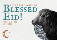 Sheep Eid Al Adha Postcard