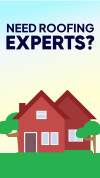 Roofing Experts Instagram Story