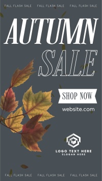 Autumn Saving Sale Instagram Reel Image Preview