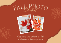 Fall Photo Contest Postcard