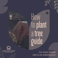 Plant Trees Guide Linkedin Post