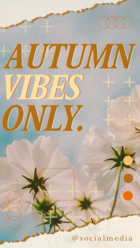 Autumn Vibes Greeting Instagram Reel Image Preview