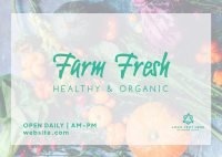 Healthy & Organic Postcard