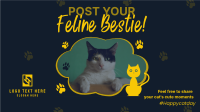 Cat Appreciation Post  Facebook Event Cover