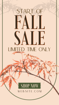 Fall Season Sale Instagram Reel