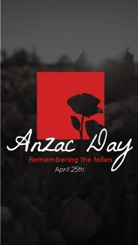 Anzac Remembrance TikTok Video Design