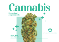 Medicinal Cannabis Postcard