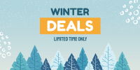 Winter Deals Twitter Post