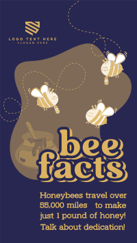 Honey Bee Facts Instagram Reel