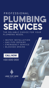 Expert Plumber Service TikTok Video