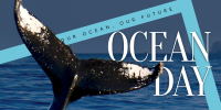 Save our Ocean Twitter Post