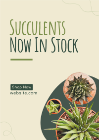 New Succulents Flyer