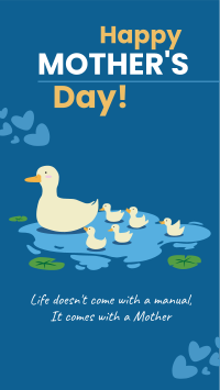 Mother Duck Facebook Story Design