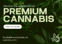 Premium Cannabis Postcard