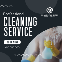 Expert Cleaning Amenity Instagram Post Image Preview