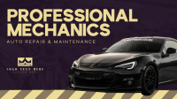 Auto Pros Animation