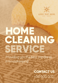 Bubble Cleaning Service Poster Image Preview