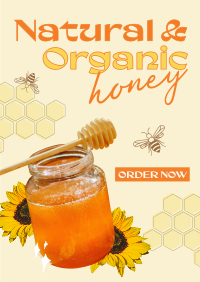 Delicious Organic Pure Honey Flyer