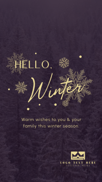 Minimalist Winter Greeting TikTok Video Design