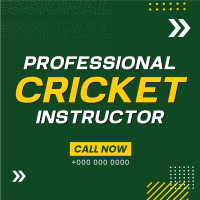 Let's Play Cricket Linkedin Post Design