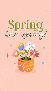 Spring Flower Pot Video