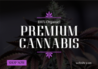 High Quality Cannabis Postcard
