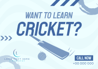 Time to Learn Cricket Postcard