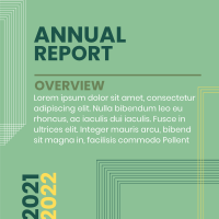 Annual Report Lines Instagram Post