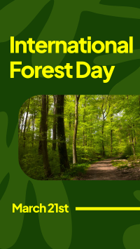 Forest Day Greeting Instagram Reel