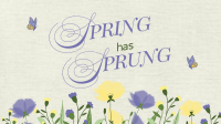 Spring Has Sprung Animation