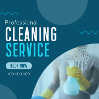 Expert Cleaning Amenity Linkedin Post