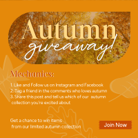 Autumn Leaves Giveaway Instagram Post