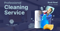 The Professional Cleaner Facebook Ad