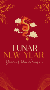 Lunar New Year TikTok Video