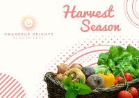 Harvest Vegetables Postcard