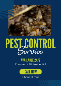 Professional Pest Control Flyer