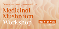 Minimal Medicinal Mushroom Workshop Twitter Post