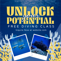 Free Diving Class Linkedin Post