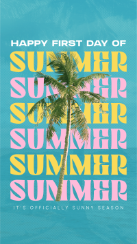 Summer Palm Tree Instagram Story