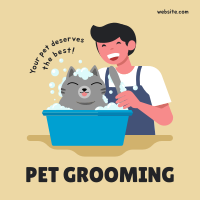 Grooming Cat Instagram Post Image Preview