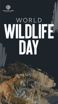 Wildlife Conservation Video