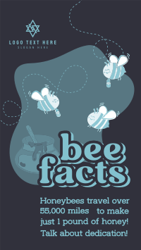 Honey Bee Facts Instagram Story