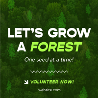 Forest Grow Tree Planting Linkedin Post