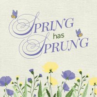 Spring Has Sprung Instagram Post