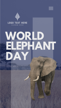 World Elephant Celebration Instagram Story Design