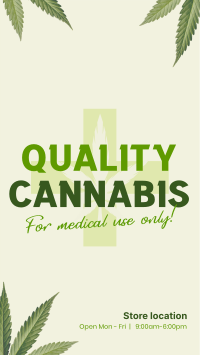 Quality Cannabis Plant Facebook Story