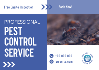 Professional Pest Control Postcard