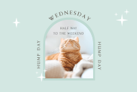 Wednesday Hump Day Pinterest Cover Image Preview